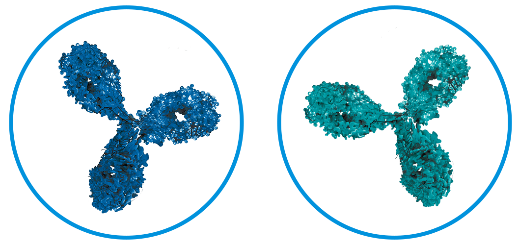 Blog-Antibody Comparison Image