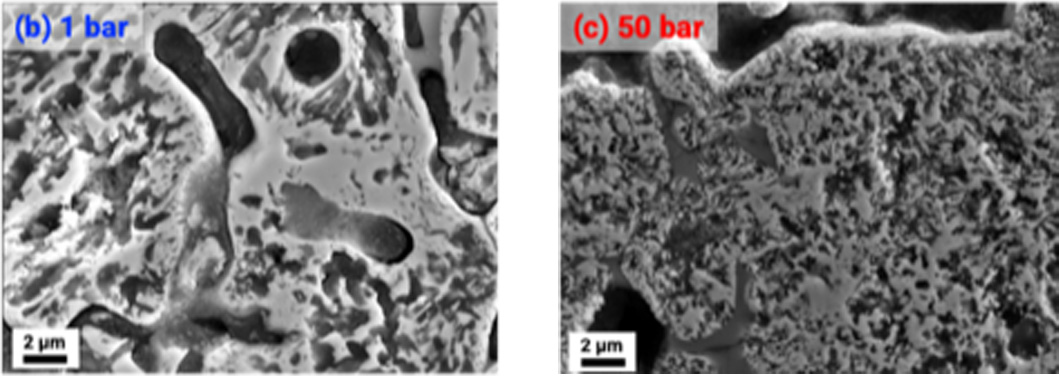 Figure 6. SEM images of iron ore pellets reduced at 1 and 50 bar