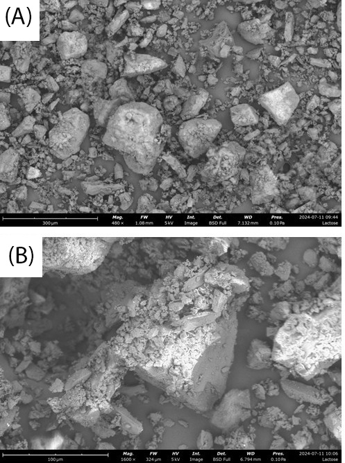 Figure 5. SEM images of lactose monohydrate (A-300 μm & B-100 μm) and CMC (C-300 μm & D-100 μm)