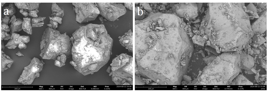 Figure 3: SEM images of a) blue powder and b) white powder