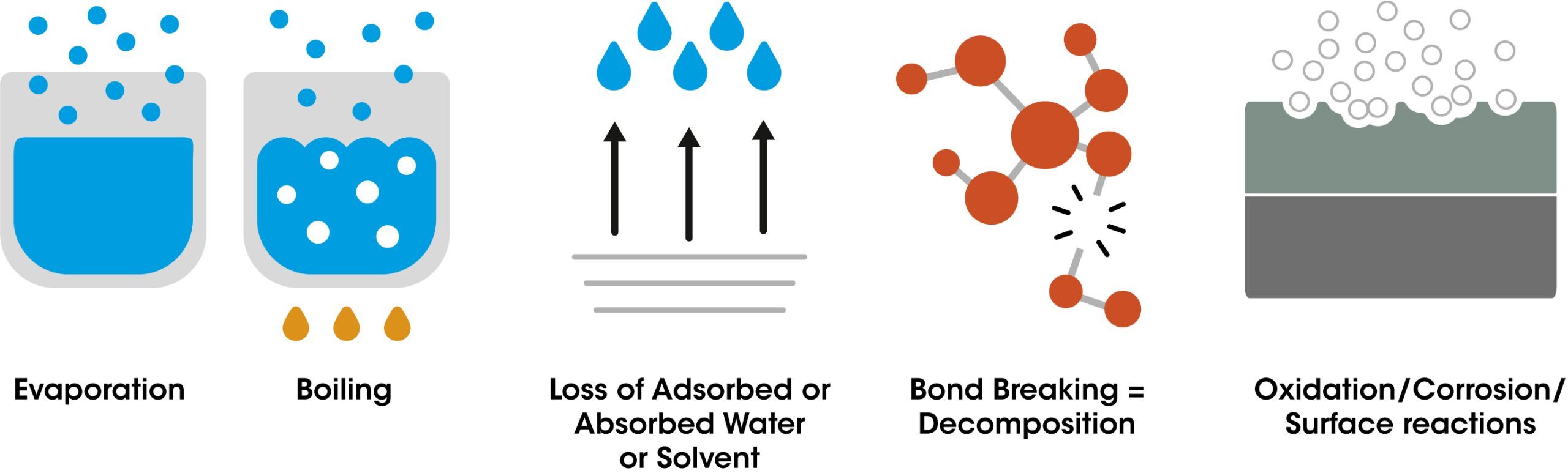 Figure 1: Possible causes of mass loss during heating