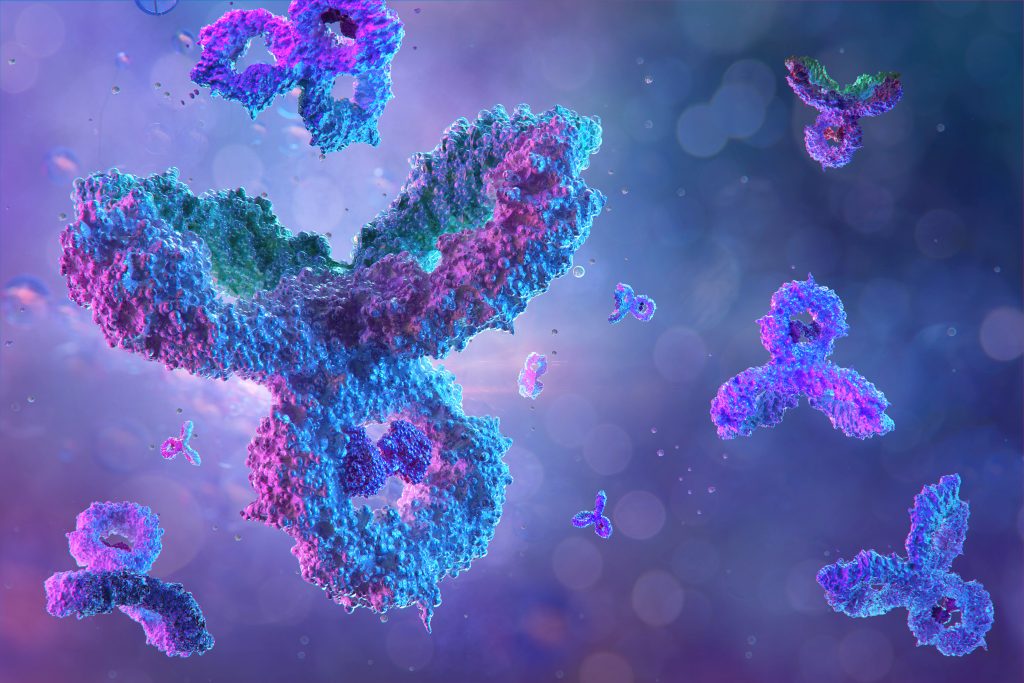 Evaluating Antibody Stability with Nano Differential Scanning ...